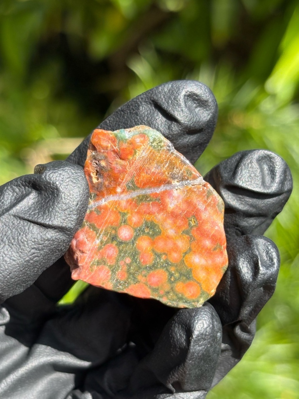 Small Ocean Jasper Crystal Freeform - Polished Orbicular Jasper - Sea Jasper